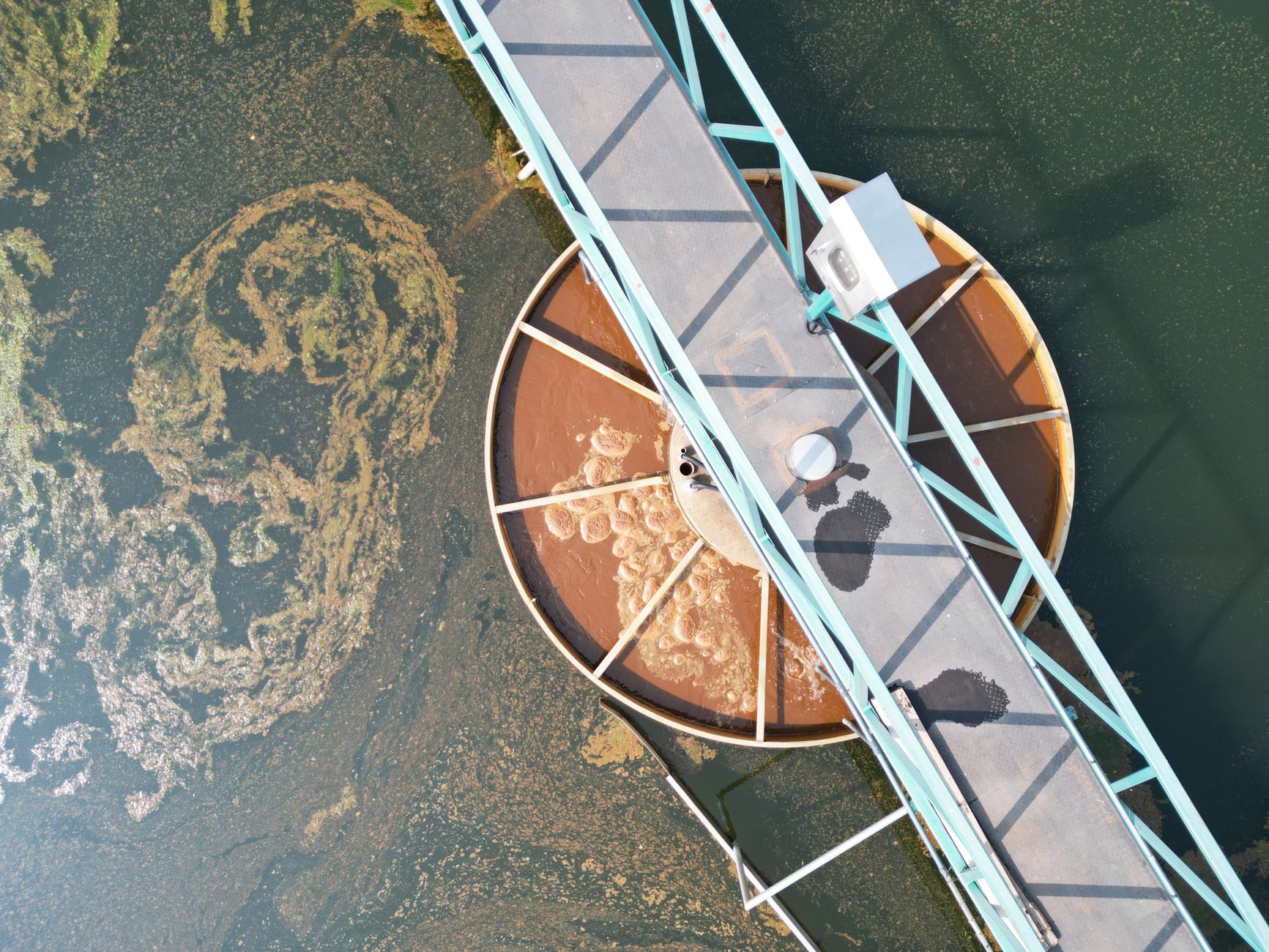 Environmental manager inspecting a wastewater treatment facility